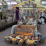 IMG_5707.jpg