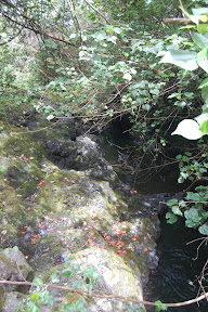 DSC_0925.jpg