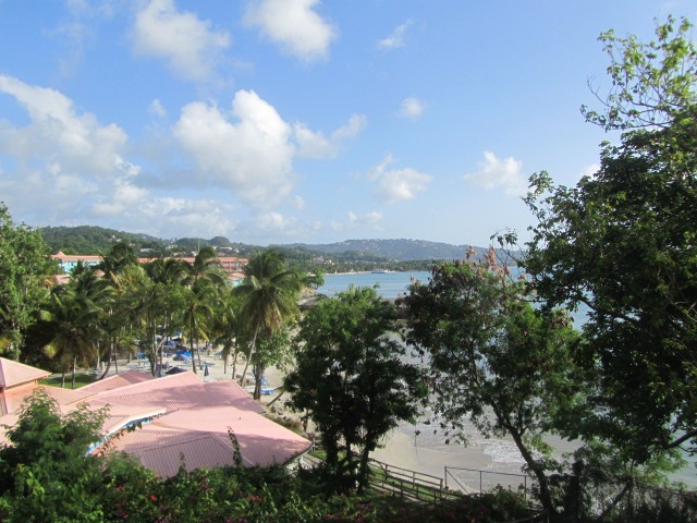 [brookes-0695.jpg]