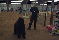 DSCF3069.JPG