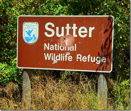 Sutter Sign