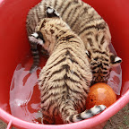 Feb2010 (189).JPG