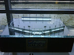 IMG00259-20090805-1431.jpg