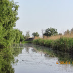 IMG_7866.JPG