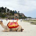Kenia Nyali beach