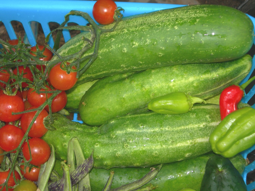 [DSCN4211%255B13%255D.jpg]