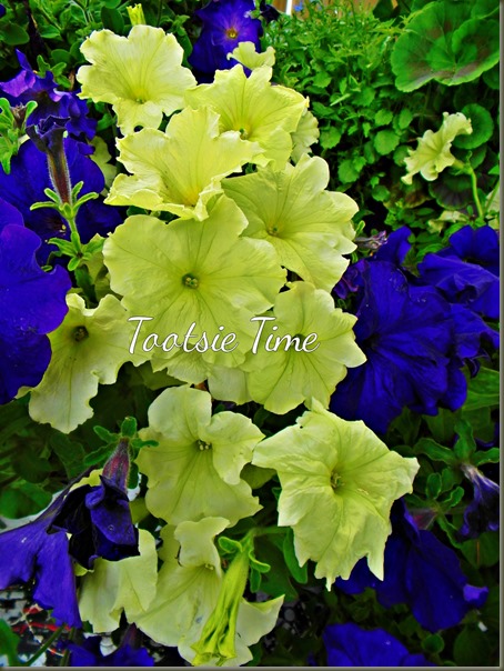 BeFunky_108.jpg BeFunky_108.jpg