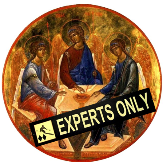 Experts