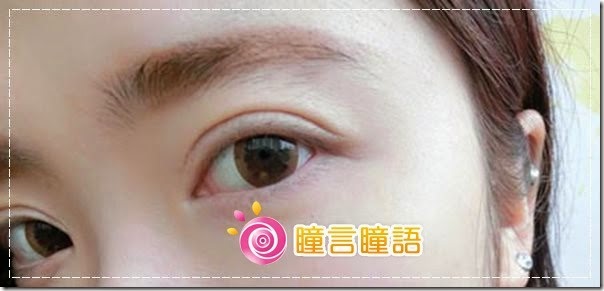 七七醬分享---L-Con-1-Day-POP-Brown5 七七醬分享---L-Con-1-Day-POP-Brown5