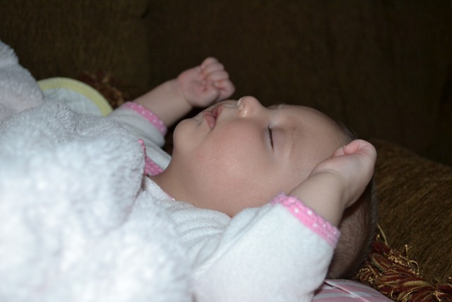 [DSC_0525%255B2%255D.jpg]