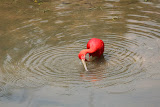 IMG_8372.JPG