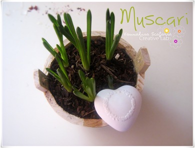 muscari_vannalisascafaria
