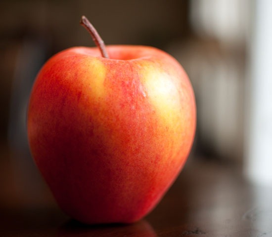[DSC_3644%255B4%255D.jpg]