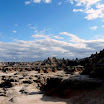 Badlands e Black Hills (41).JPG