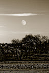 20111106-IMG_3544.jpg