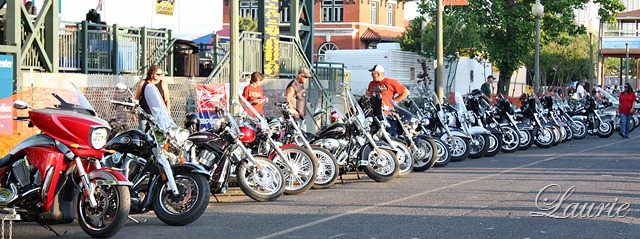 [bikes2.jpg]