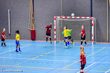 SEIZOEN 2013-2014 - WVV D4 - 01 FEB - WVV D4 - (D6 zaalcompetitie)