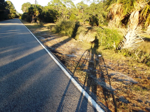 [SaturdayatHuntingIsland0993.jpg]