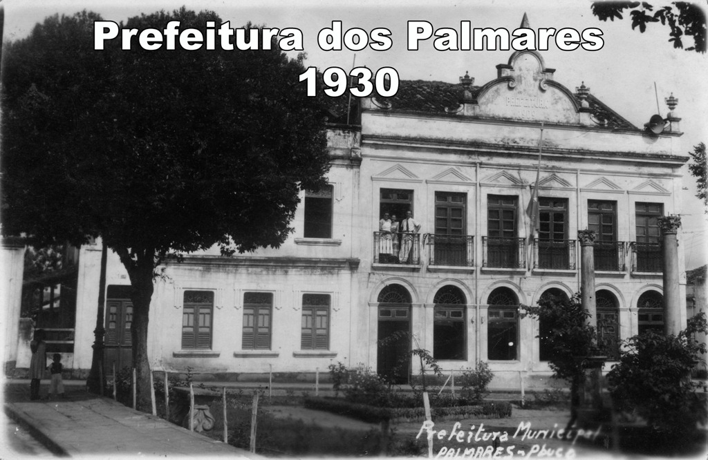 [Palmares%2520008%255B2%255D.jpg]