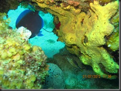 IMG_1160 IMG_1160