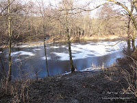 staw obok rz. Głównej