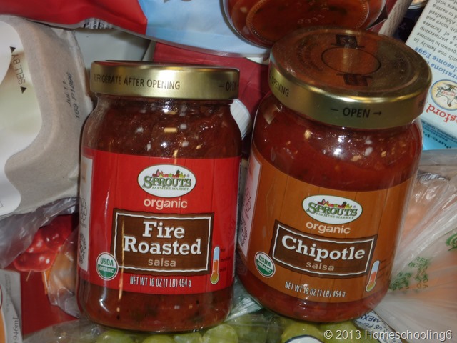 Salsa Homeschooling6