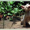 Copy of DSC_0089.JPG