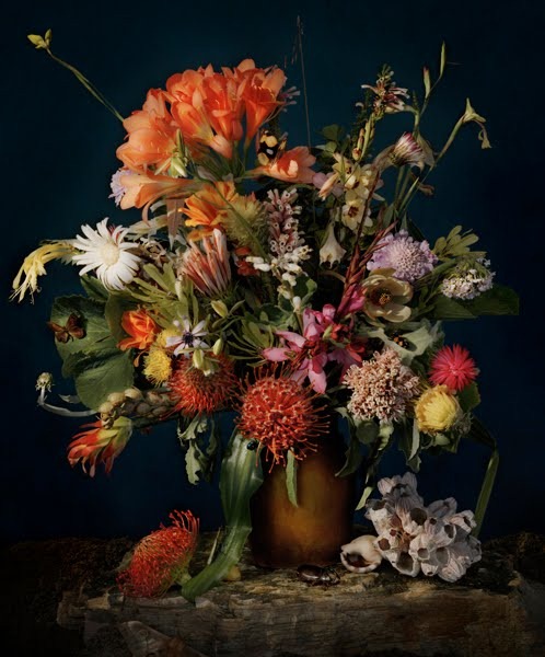 [flora2%255B5%255D.jpg]