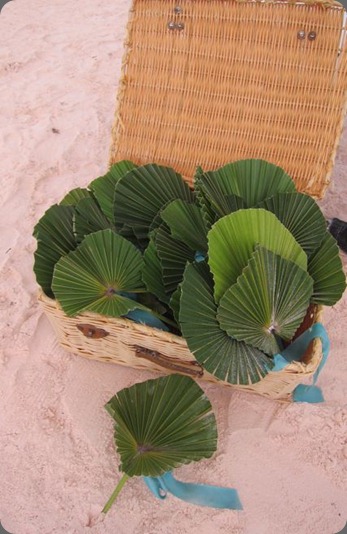 IMG_2474 natural fans michelle rago