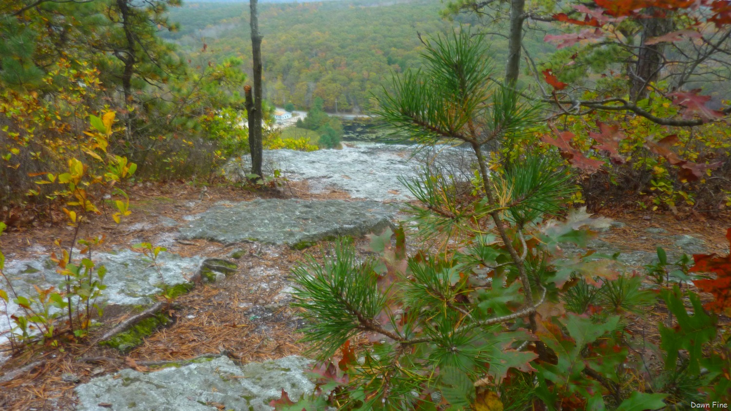 [Lantern-Hill-Hike_0234.jpg]