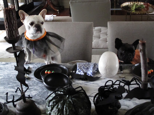 Franny, this IS kind of spooky - let's get out of here before it's too late!!