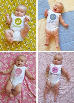 Nora Weeks 21 thru 24 collage