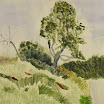 DANISOVCE0257.jpg