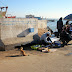 Hungrige Katze in Essaouira