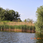 DSCN0259.JPG