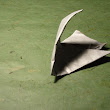 DSC00142.JPG