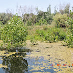 DSCN8336.JPG