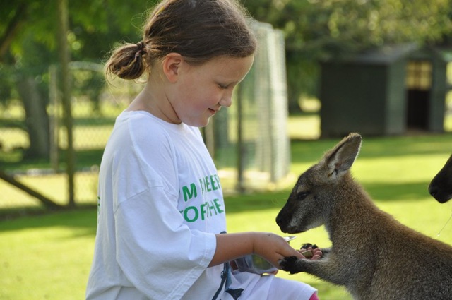 [JeminawithWallabyresized5.jpg]