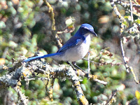 DSC_7753.jpg