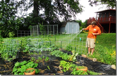 Garden14