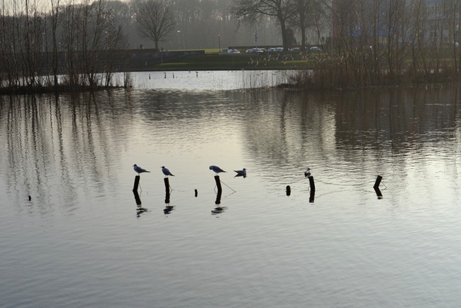 DSC_0251 DSC_0251