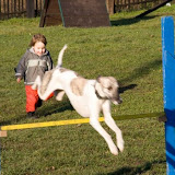 Klubové závody agility - 14.12.2007