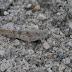 P1060965