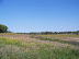 Gettysburg, PA