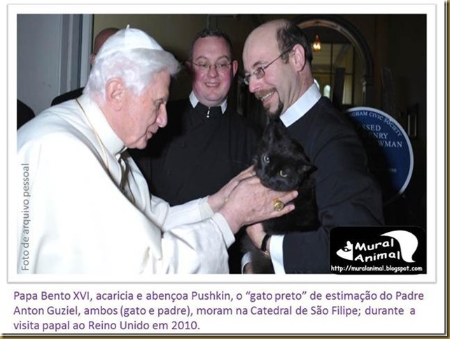 papa_bentoXVI-gatos papa_bentoXVI-gatos