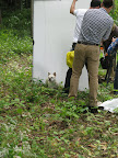 Whew!  I could have really used Franny's help for that task - speaking of which - where is that Frenchie?