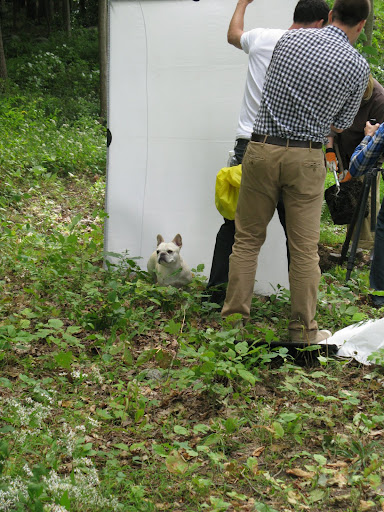 Whew!  I could have really used Franny's help for that task - speaking of which - where is that Frenchie?