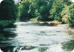 A Range of Fishing Including River Fishing