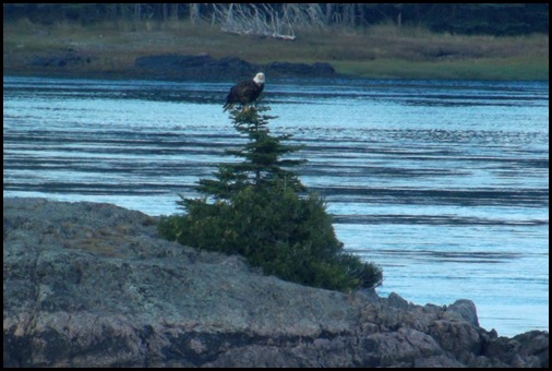 Eastport Maine 239