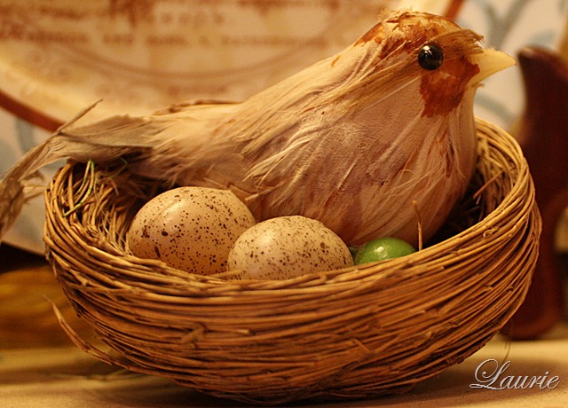 [nest%2520right%255B2%255D.jpg]